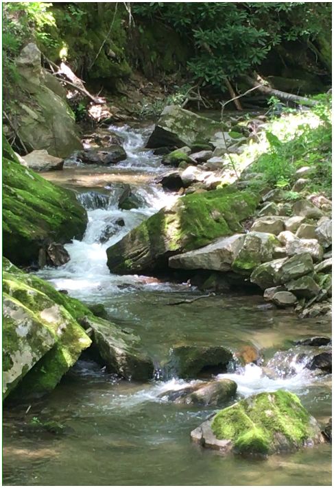 nc-mountain-stream